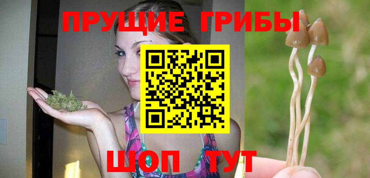 Псилоцибиновые грибы мицелий Кудымкар